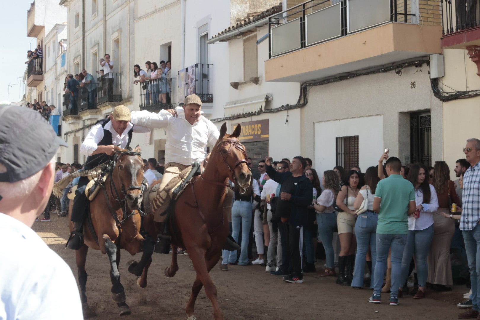 Las carreras de caballo de Arroyo de la Luz, en imágenes