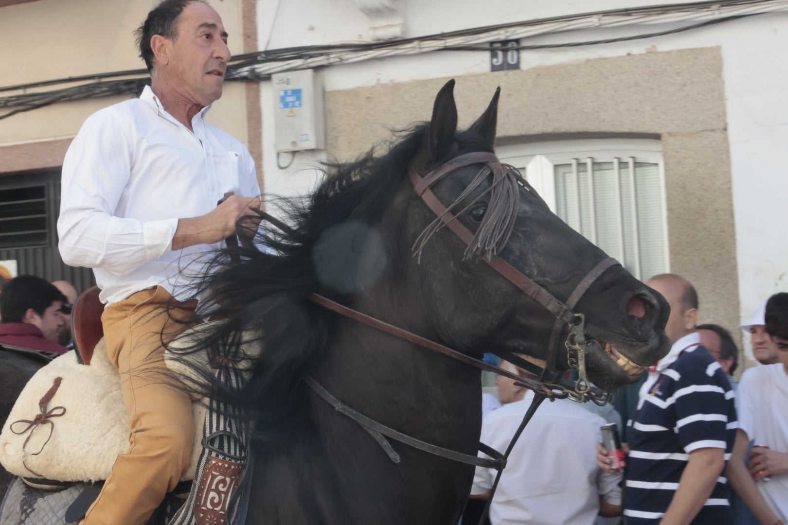 Las carreras de caballo de Arroyo de la Luz, en imágenes