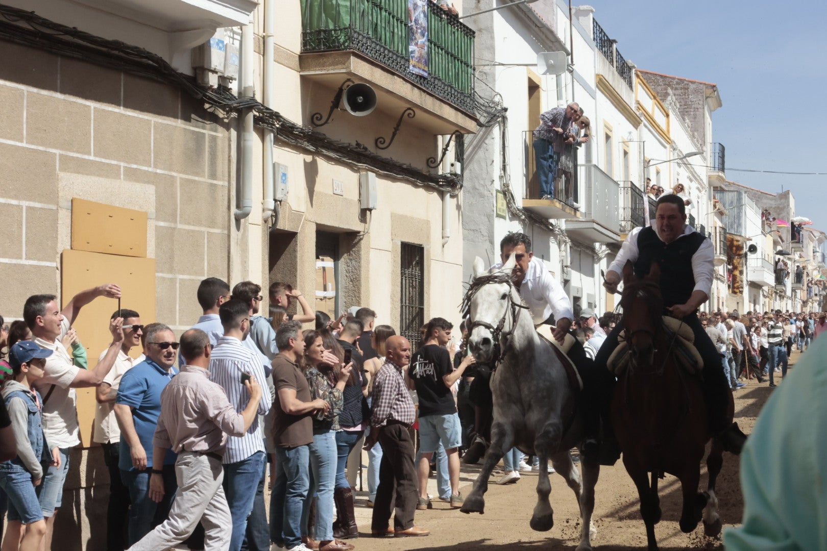 Las carreras de caballo de Arroyo de la Luz, en imágenes