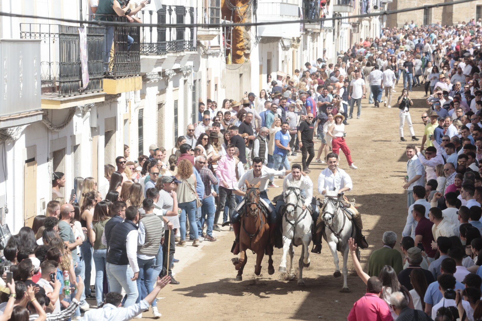 Las carreras de caballo de Arroyo de la Luz, en imágenes