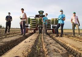 Los precios en origen aumentan más que en destino