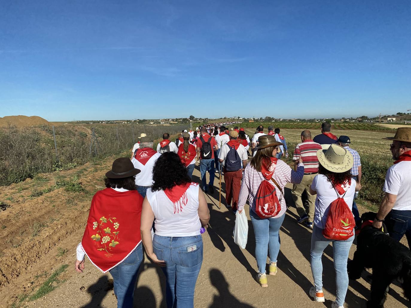 Romeros y carretas hacen el camino de San Marcos en Almendralejo (I)