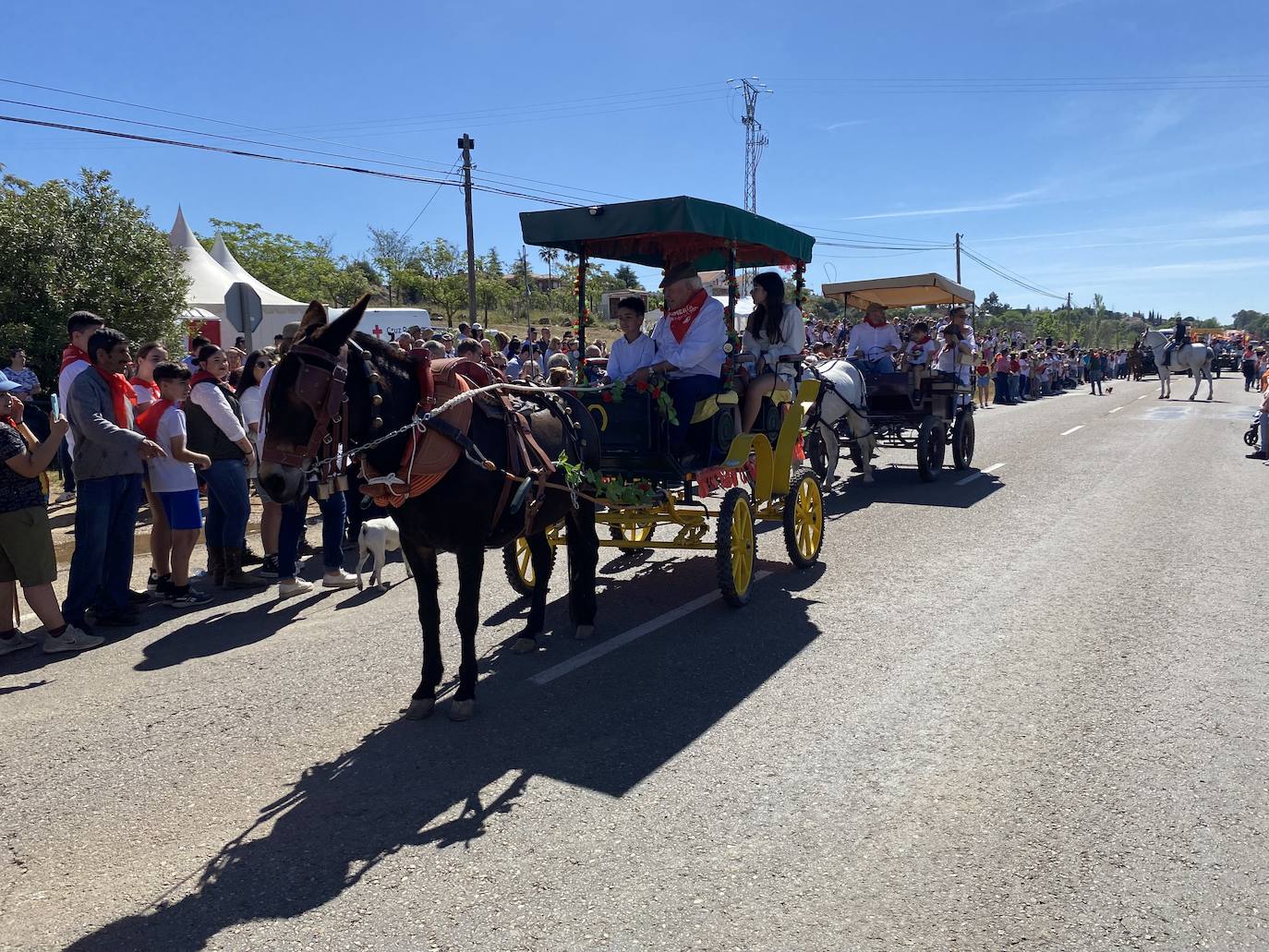 Romeros y carretas hacen el camino de San Marcos en Almendralejo (II)