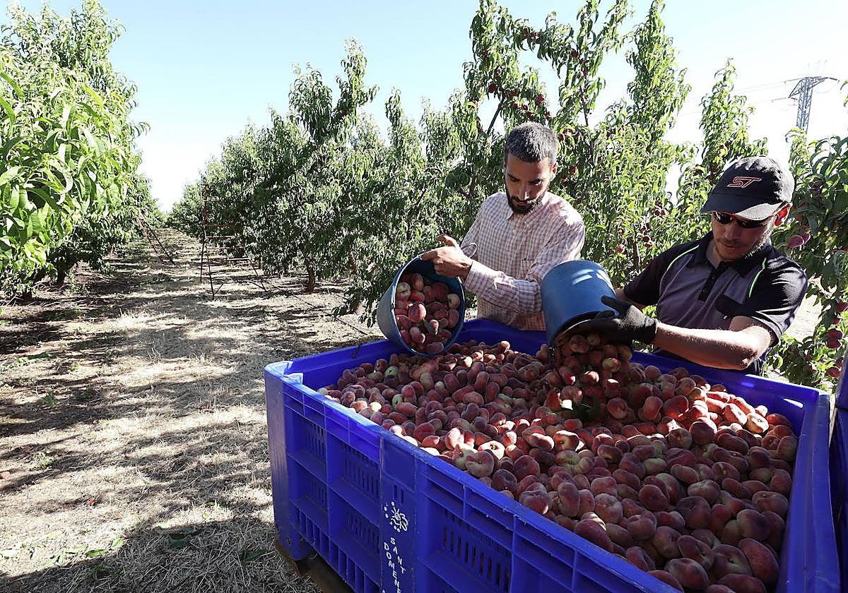El paro en Extremadura sube en 11.000 personas en el primer trimestre, según la EPA