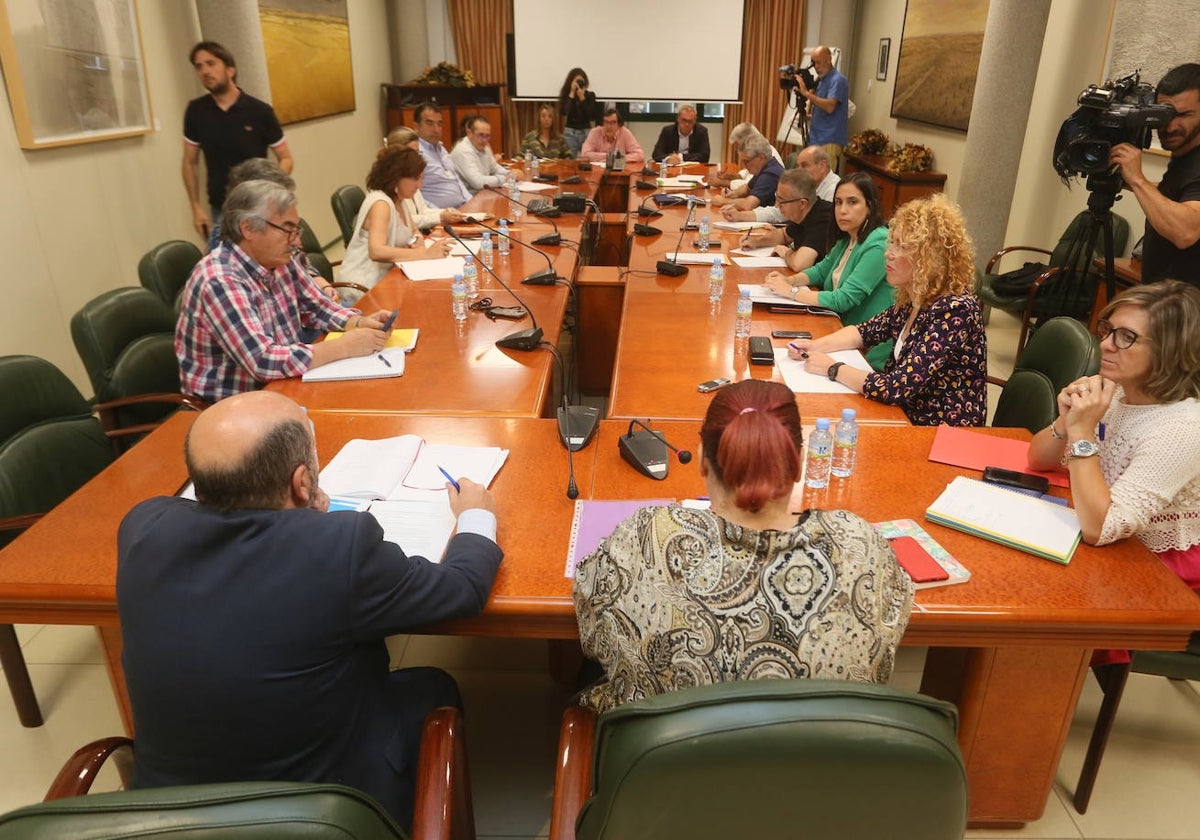 El director general de la PAC, Javier Gonzalo, y la consejera Begoña García Bernal, ambos de espaldas, en la reunión de Consejo Asesor Agrario, esta mañana, en Mérida.