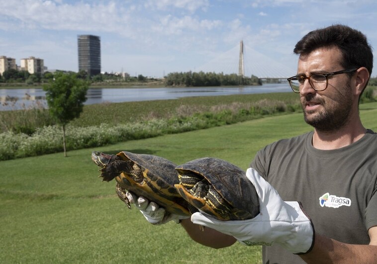 Álvaro muestra dos de los ejemplares que ha capturado en el parque del río.