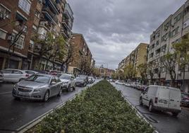 Gragera promete poner plataforma única en la avenida Carolina Coronado