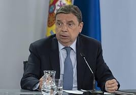 Luis Planas, ministro de Agricultura, en su intervención tras el Consejo de Ministros extraordinario.