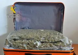 Maleta llena de cogollos de marihuana.