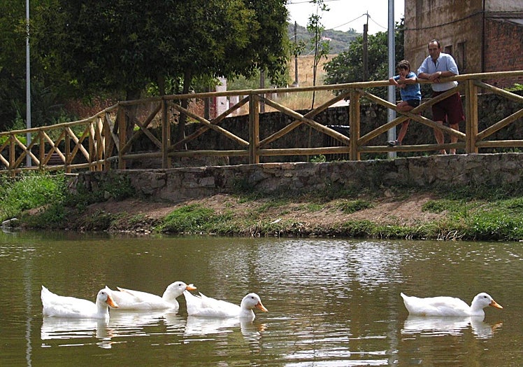 La charca del Marco en el año 2004 cuando había hasta patos.