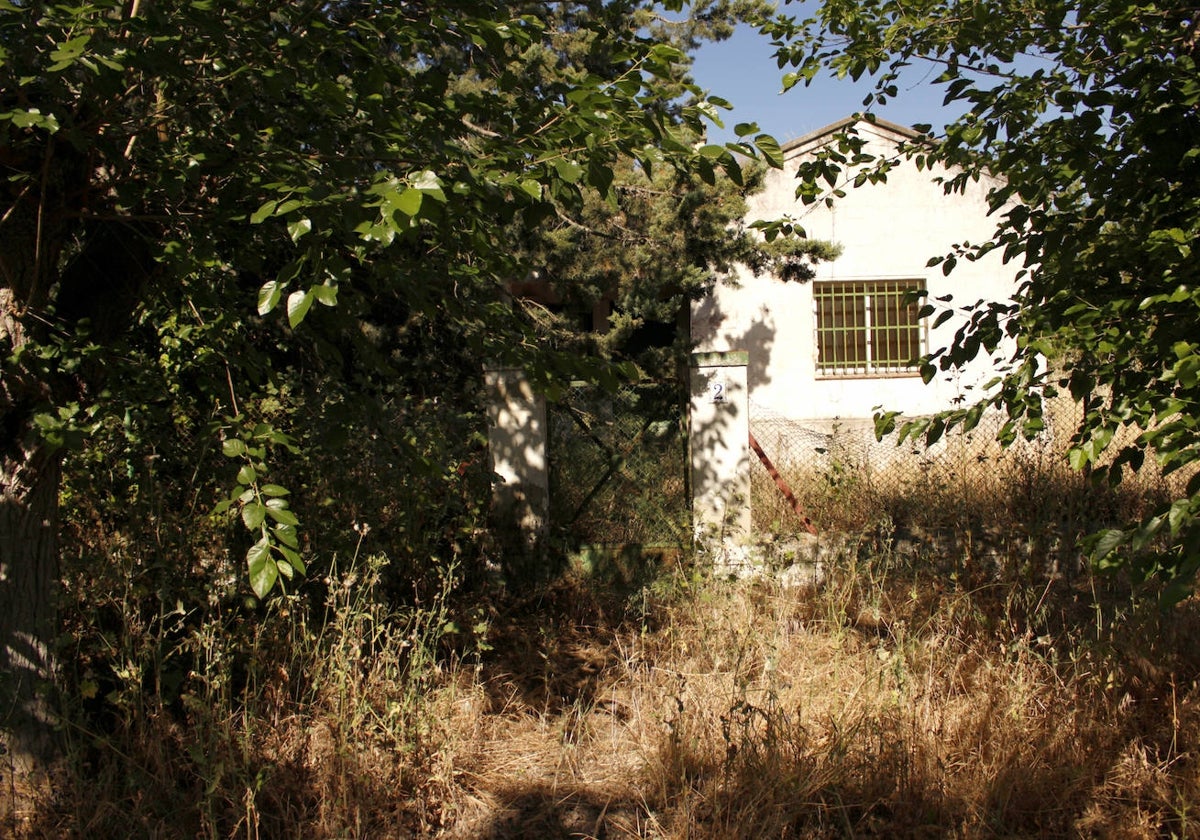 Una casa abandonada con las aceras llenas de maleza en Carlos Haya.