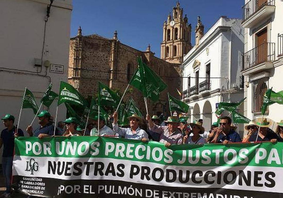 Imagen de archivo de una manifestación de la CLYGAL y Apag Extremadura Asaja en Almendralejo.