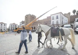 En el ensayo han participado hasta 20 caballos y en la Plaza se ha desplegado una grúa de gran altura para sujetar una estructura de focos.