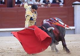 El novillero Mario Navas durante el séptimo festejo de San Isidro.