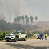 El incendio en Pinofranqueado, en imágenes