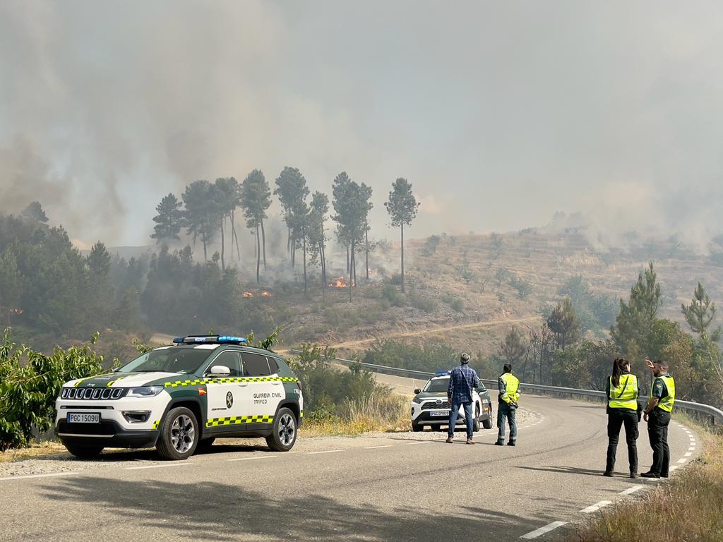 El incendio en Pinofranqueado, en imágenes