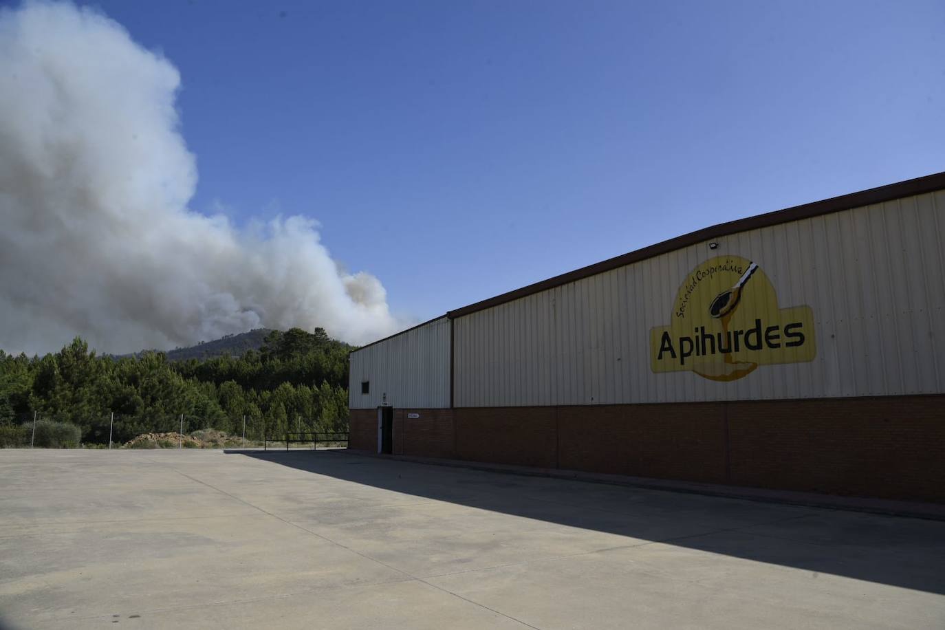 El incendio en Pinofranqueado, en imágenes