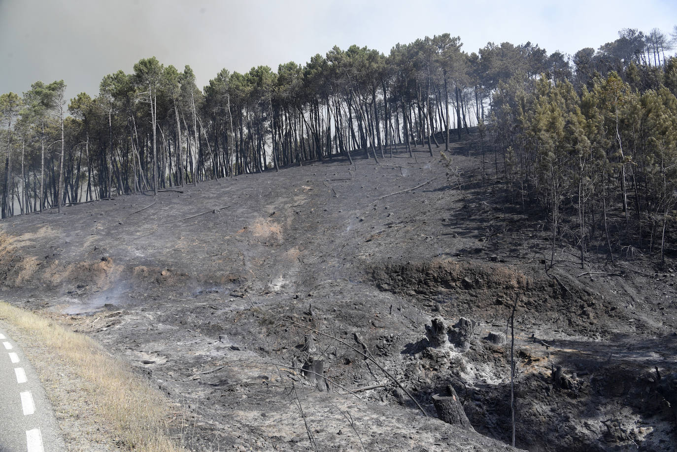 Superficie arrasada por el incendio declarado la pasada noche en La Muela.