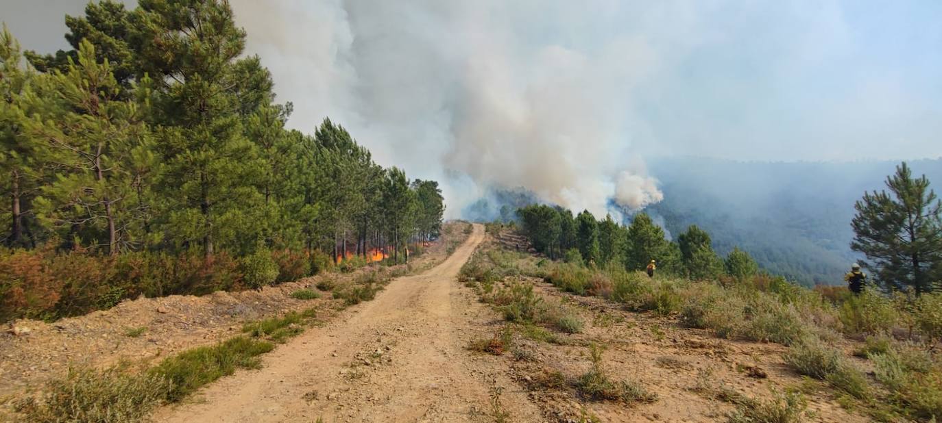 Resumen de la jornada de trabajo de la BRIF del Ministerio en el incendio de Pinofranqueado 