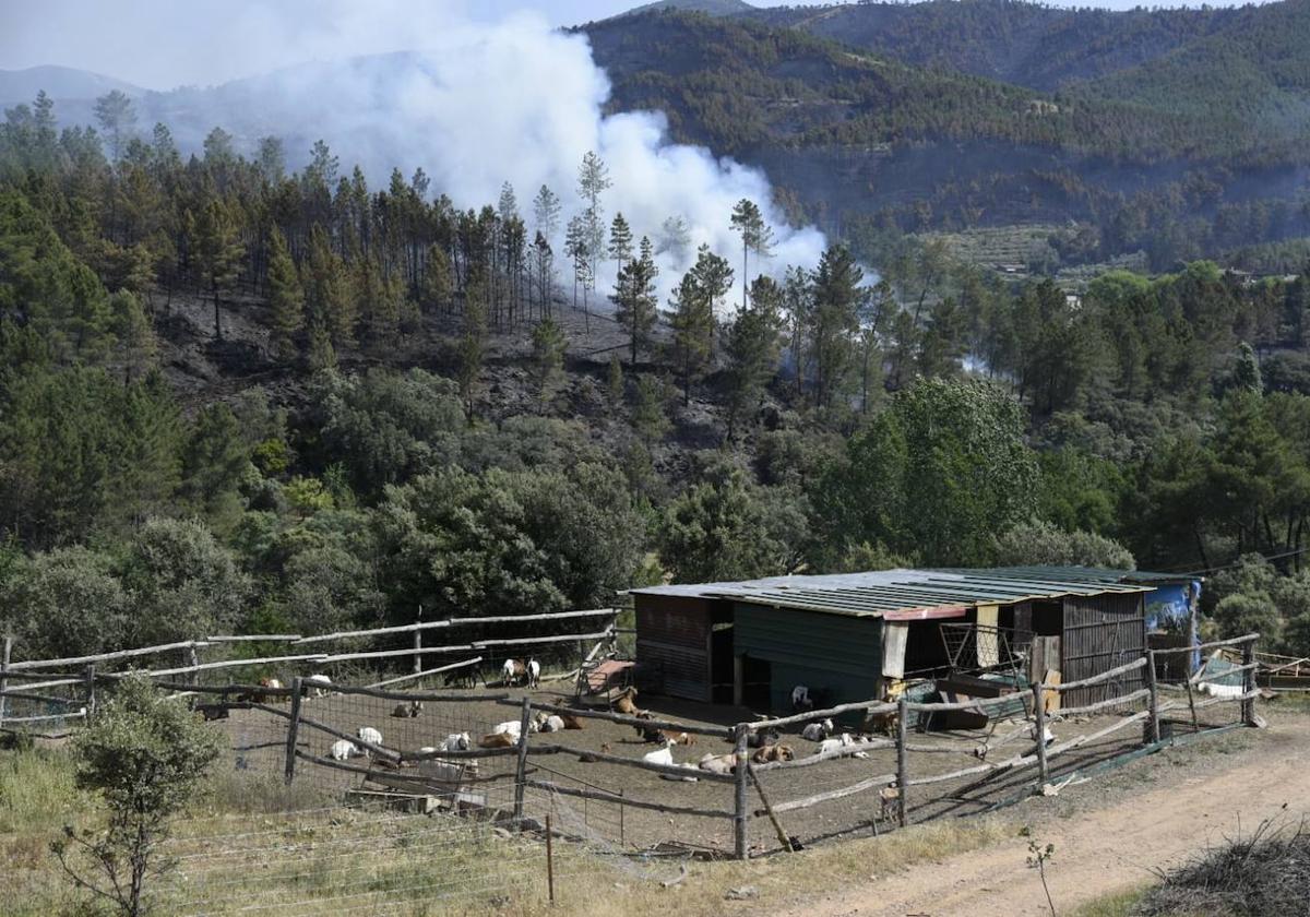 El incendio en Las Hurdes y Sierra de Gata obliga a evacuar también a los vecinos de Ovejuela