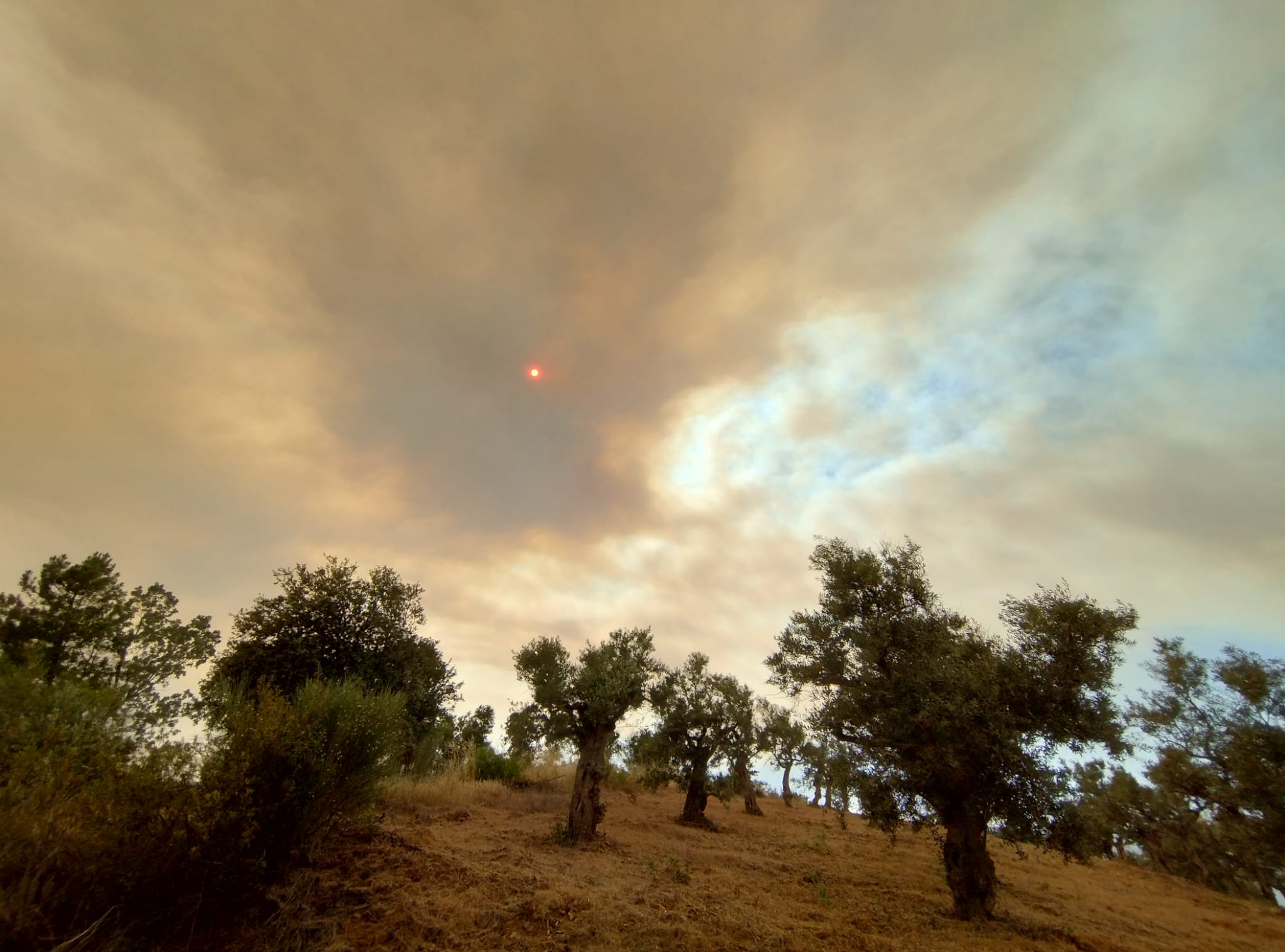 El fuego avanzó a Sierra de Gata