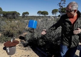 El presidente de la Confederación del Guadalquivir muestra un pozo ilegal en el entorno del Parque Nacional de Doñana.