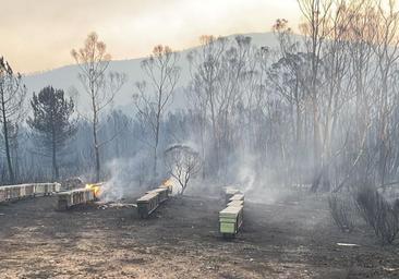 Mejoran las condiciones en el incendio de Las Hurdes y Sierra de Gata, que ha arrasado ya 12.000 hectáreas