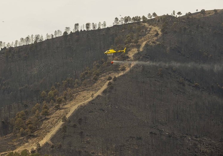 Un helicóptero arrojando agua en Sierra de Gata, en la margen izquierda de la carretera de Hervás en dirección a Torrecilla de los Ángeles.