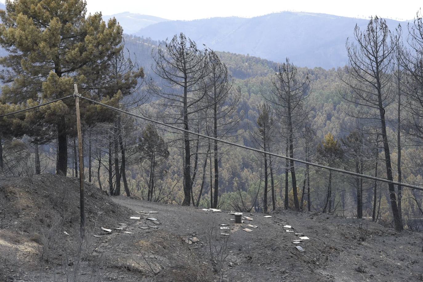 Imágenes de la zona quemada en Las Hurdes y Sierra de Gata por el fuego