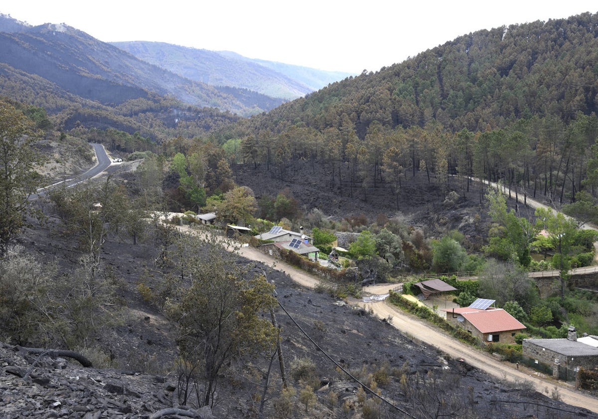 Casas aisladas próximas a Ovejuela con los alrededores calcinados.