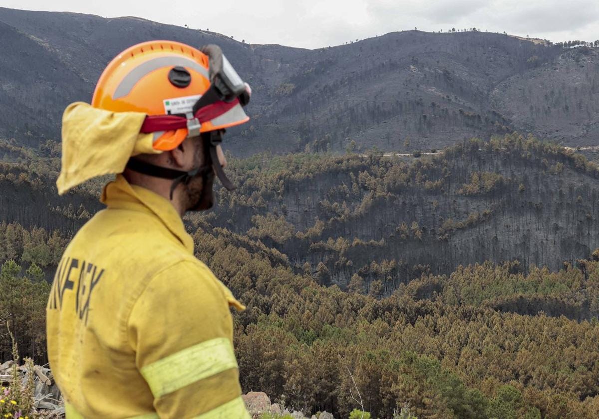 El Incendio De Las Hurdes Y Sierra De Gata Baja A Nivel 1 De ...