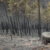 Controlado el fuego en Las Hurdes y Sierra de Gata tras arrasar 12.000 hectáreas