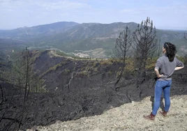 Una vecina de la zona contempla el paisaje quemado. En el centro, Descargamaría.