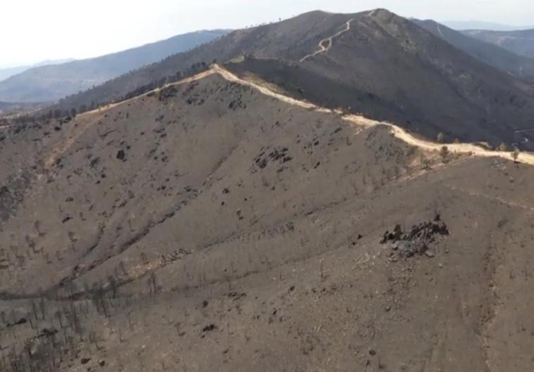 Así es ahora el paisaje que ocupa las doce mil hectáreas arrasadas por el fuego en Cáceres.