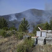 La Guardia Civil no profundizará en la investigación del incendio de Las Hurdes hasta que se extinga