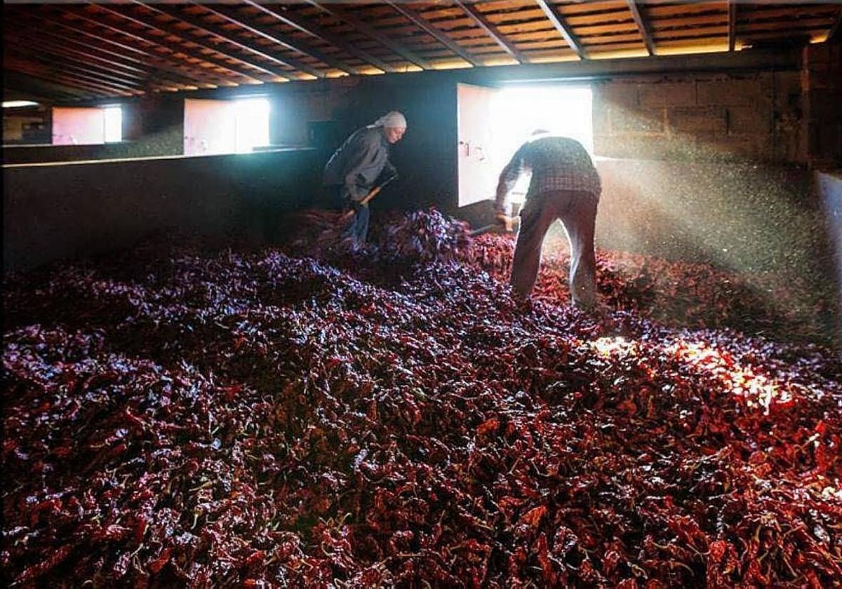Secadero de pimentón en un municipio de La Vera.