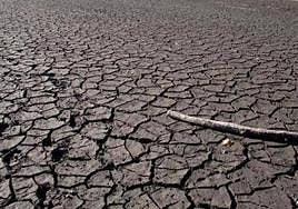 Imagen de archivo de los estragos de la sequía en Extremadura.