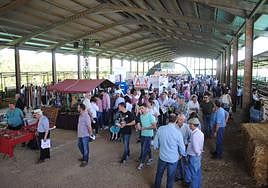 Recinto ferial ganadero durante la celebración de una pasada feria