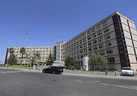 Muere la mujer de 83 años atropellada en Mérida