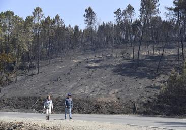 El daño forestal del incendio de Las Hurdes y Sierra de Gata roza los 75 millones de euros