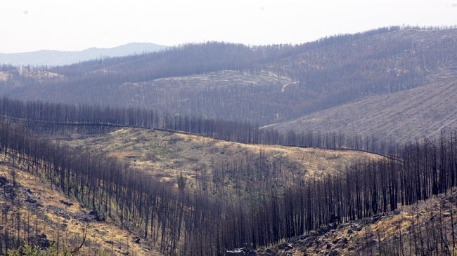 Imagen antes - Paisaje en el entorno de Jola, en una foto del año siguiente al incendio y otra actual..