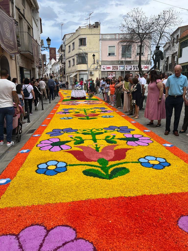 Alfombras efímeras en el Corpus de San Vicente