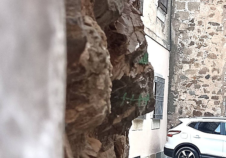 El Cristo pintado de verde.