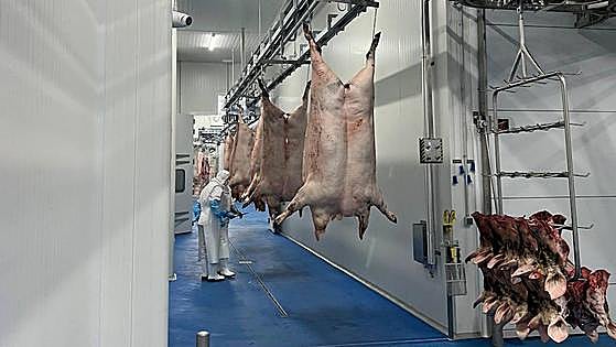 Monesterio acogerá un curso gratuito de elaboración de productos cárnicos frescos