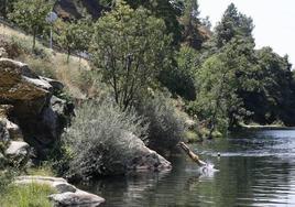 Baños en piscinas naturales y gargantas: el peligro de lanzarse