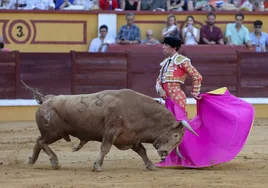 Ginés Marín y Ventoso, el toro de Núñez del Cuvillo al que cortó dos orejas y rabo.