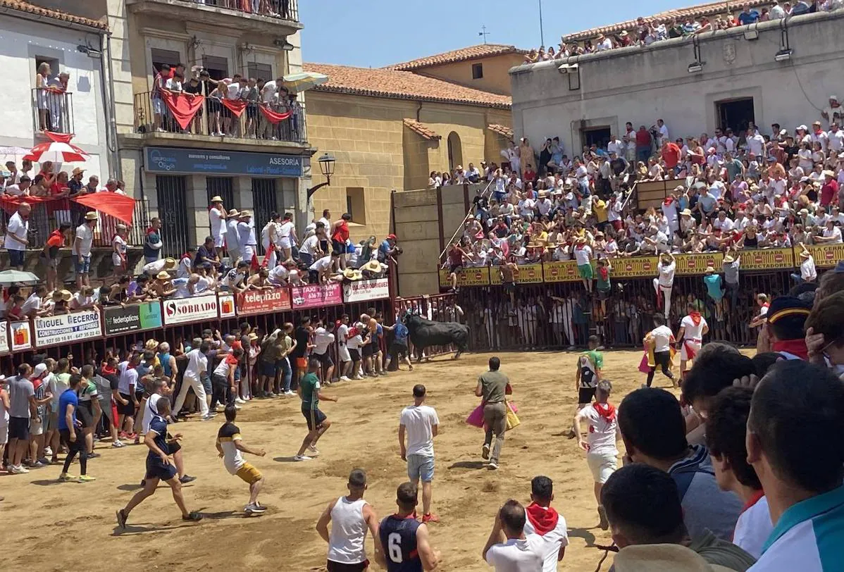 Intervenido el hombre corneado por un toro en los Sanjuanes de Coria este  domingo | Hoy