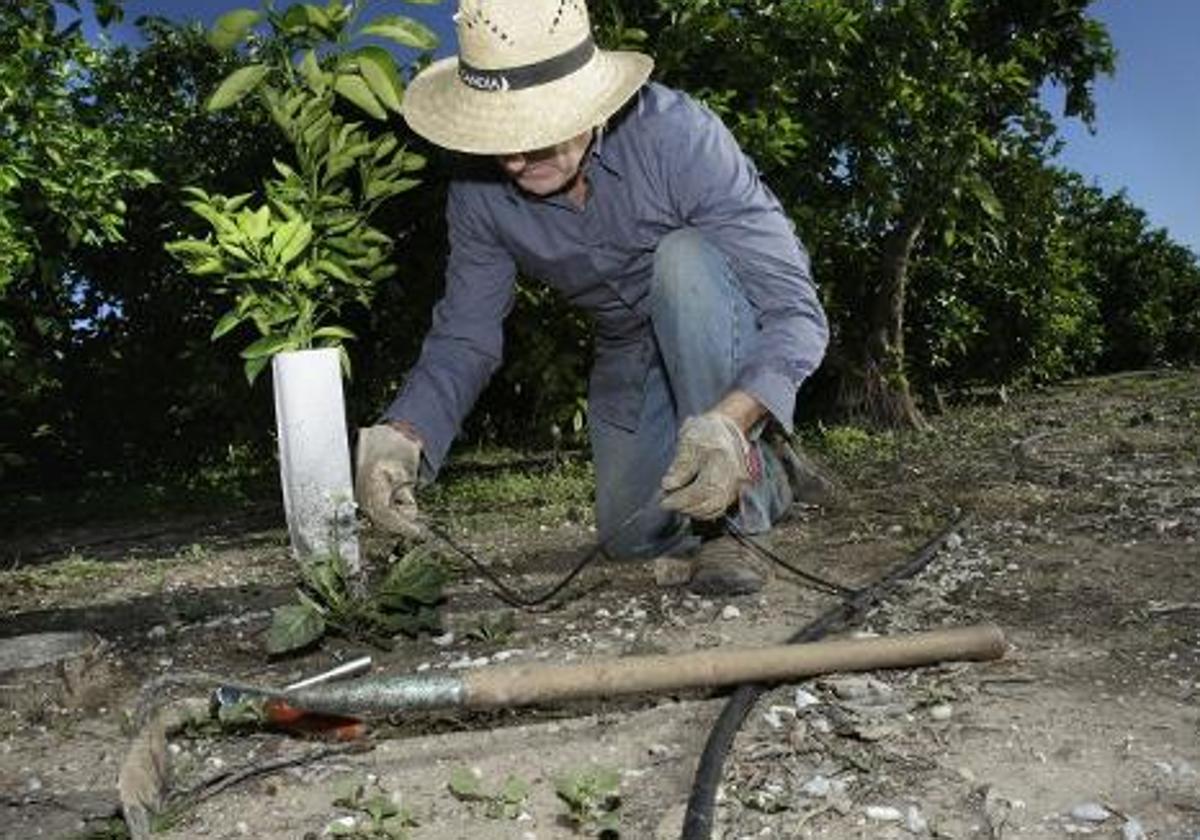 Imagen de archivo de un trabajador en el campo.