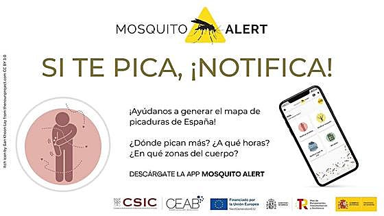 Extremadura pide colaboración ciudadana con Mosquito Alert para prevenir enfermedades transmitidas por mosquitos