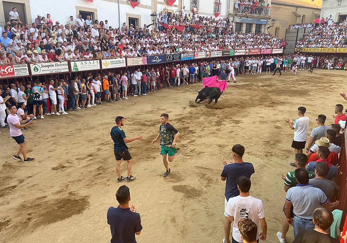 El último encierro de los Sanjuanes de Coria, en imágenes